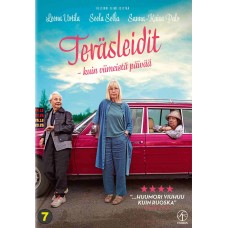 TERÄSLEIDIT - KUIN VIIMEISTÄ PÄIVÄÄ