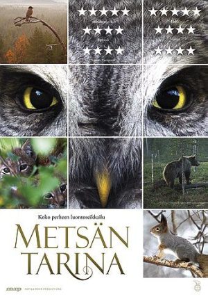 Metsän Tarina - Blu-ray Metsän Tarina