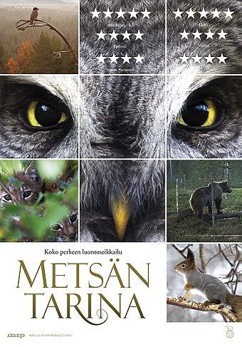Metsän Tarina - Blu-ray Metsän Tarina